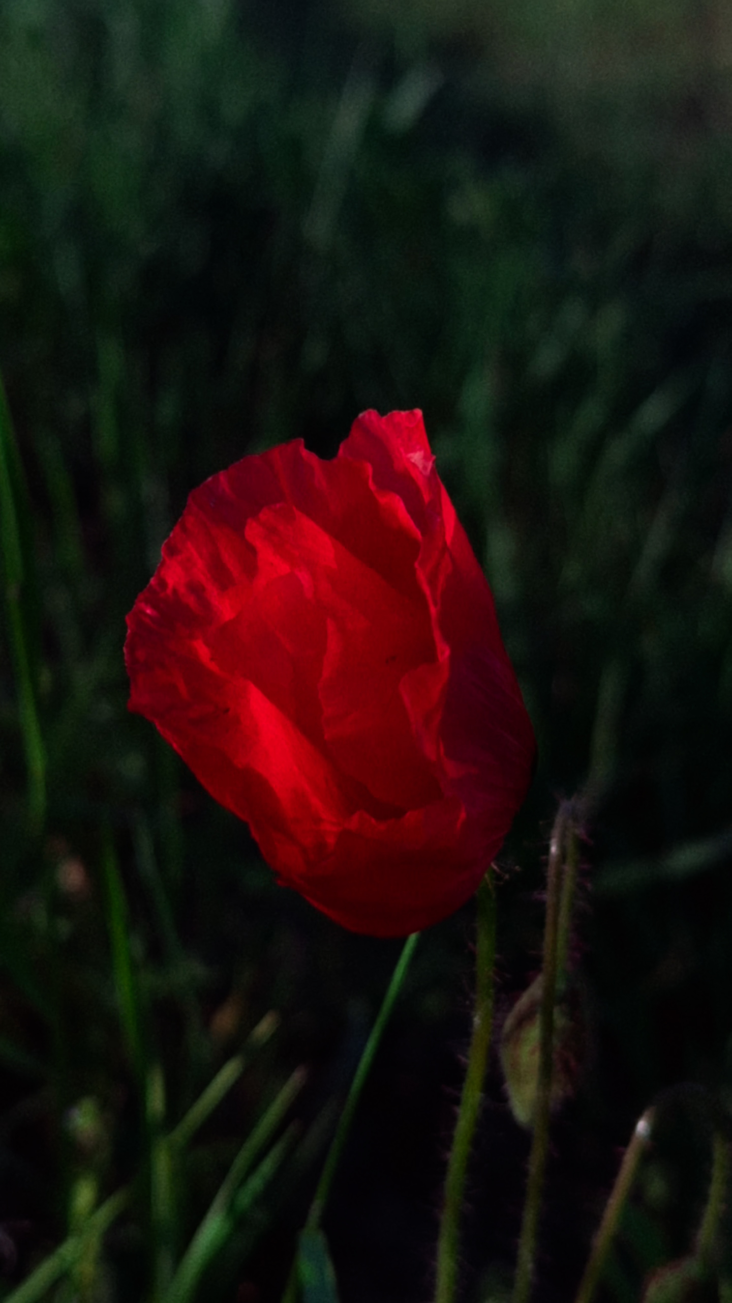 Michal Kalina photography