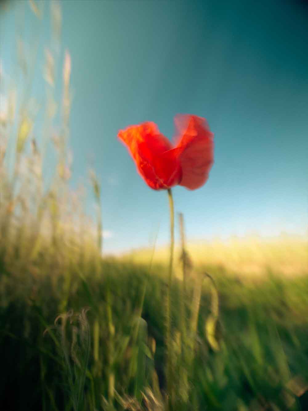 Michal Kalina photography